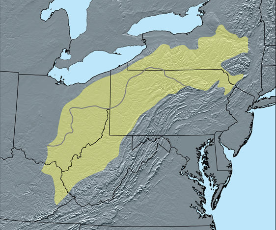 A map of the Allegheny Plateau, which lies underneath western PA, and portions of West Virginia, Ohio, Kentucky & New York