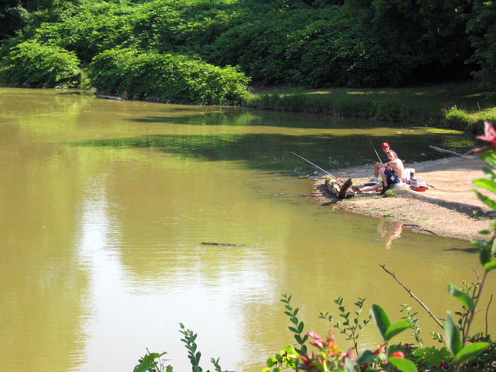 Canonsburg Lake