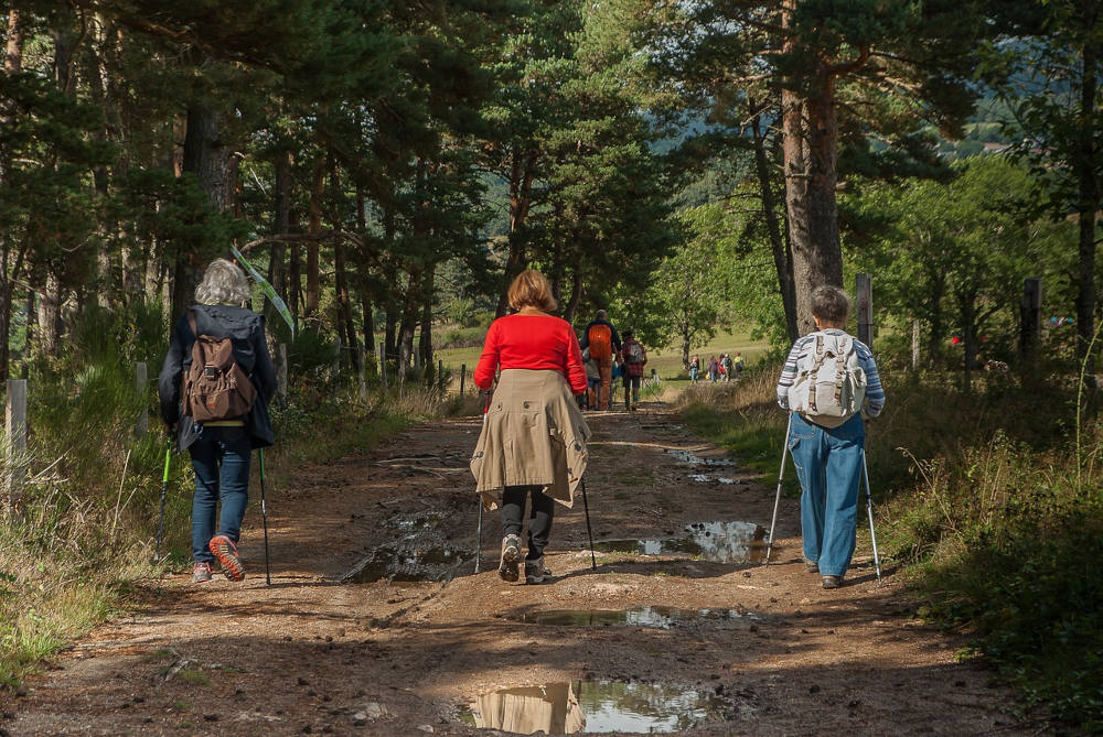 People hiking a trail