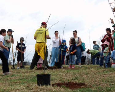 Planting Trees, Protecting Streams