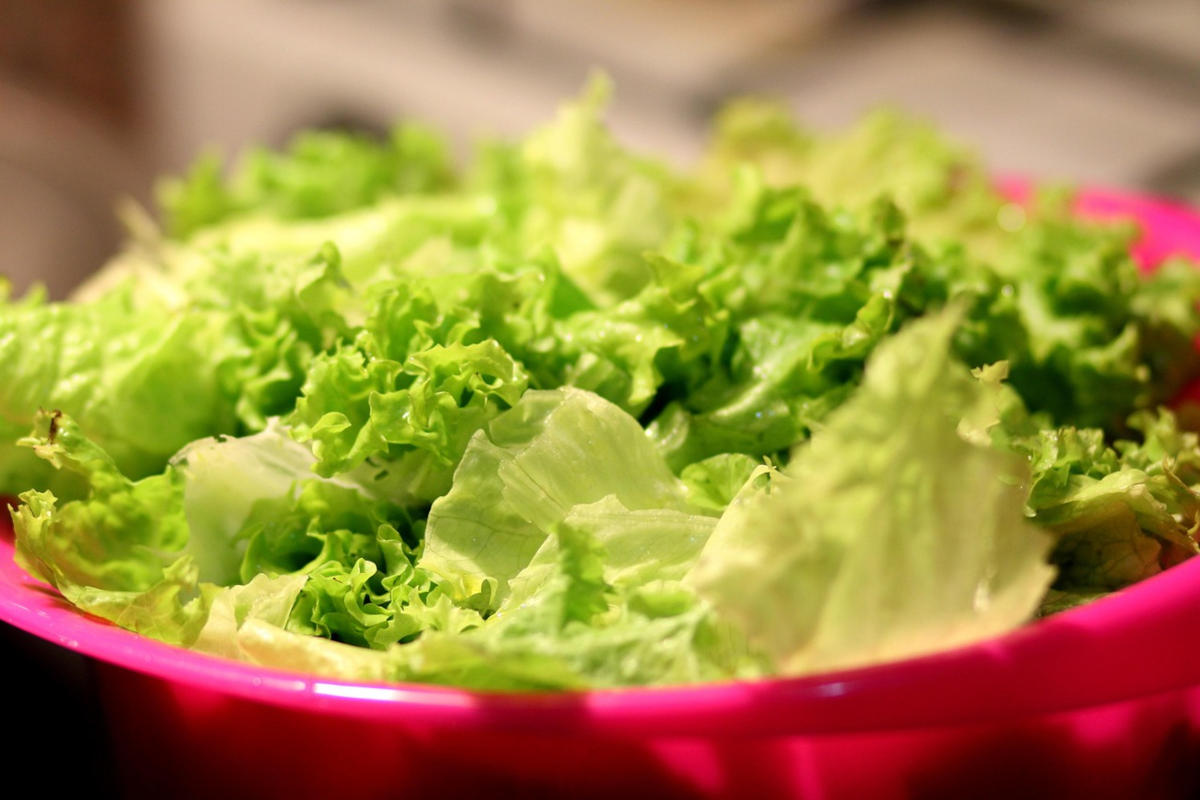 Lettuce for a salad